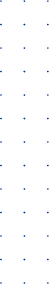 Vector Image